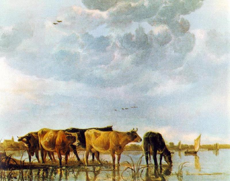 CUYP, Aelbert Cows in the Water